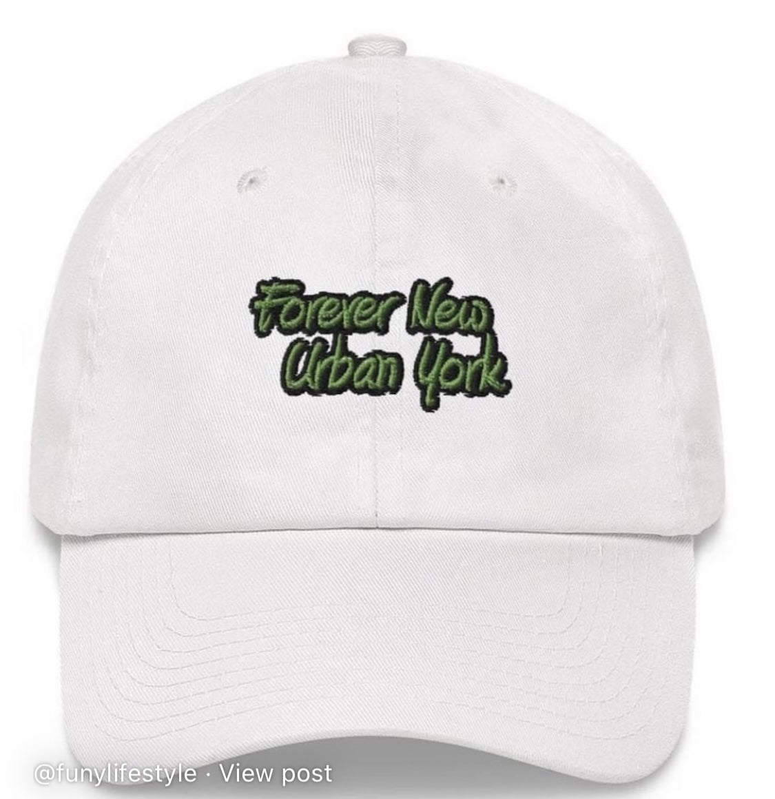 FUNY Dad Hat
